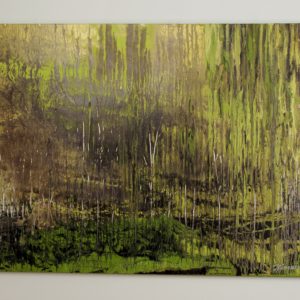 Everglades by Roberto Gonzalez