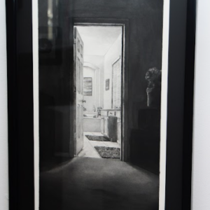 GIRL IN THE BATHTUB AWAKEN SERIES by Jason Littlefield