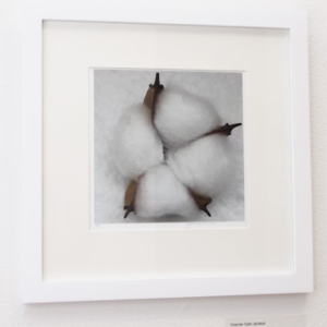 Blossom by Yolande Clark-Jackson