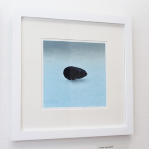 Germinate by Yolande Clark-Jackson