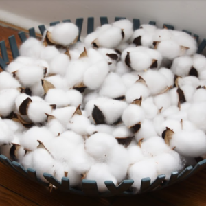 Bowl of Cotton by Yolande Clark-Jackson