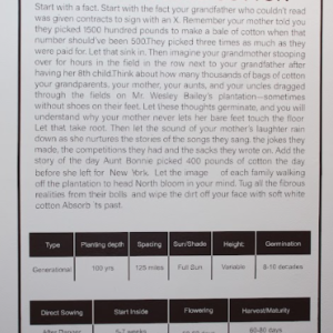 How to Absorb Cotton by Yolande Clark-Jackson