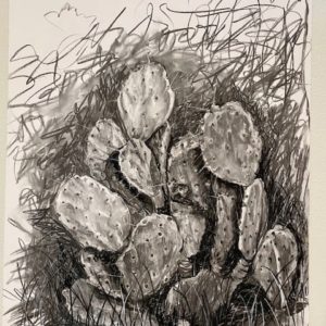 Survival of the Fittest No. I-Cactus by Jamieson Thomas