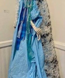 Sentinel by Jamieson Thomas