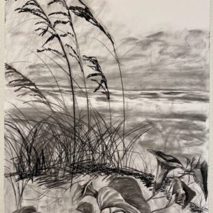 Survival of the Fittest No. II-Sea Oats by Jamieson Thomas