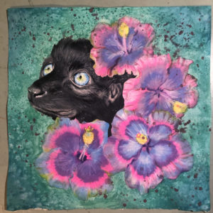 Sclater's Lemur with Hibiscus