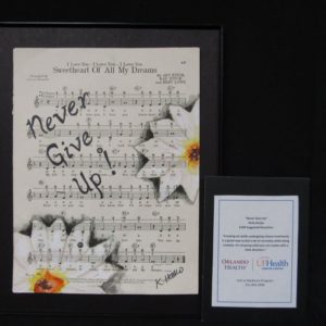 Never Give Up by Kelly Hosko