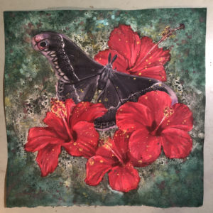 Silkmoth with Hibiscus