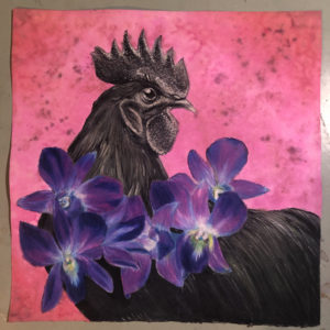 ayam cemani