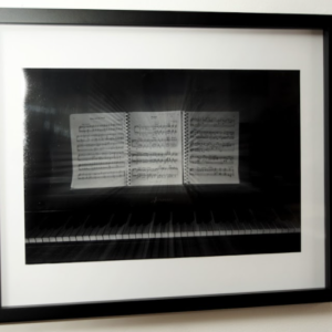 Op. 3 No. 2 by Sara Hollamby