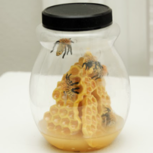 Save the Bees by Sofia del Real